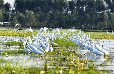 “越南各湿地保护和可持续利用”摄影大赛正式启动