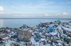 加强海洋塑料垃圾管理  实现水产品行业可持续发展