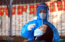 12月25日越南新增新冠肺炎确诊病例15586例  河内市新增确诊病例近1900例