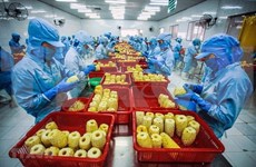 越南农产品出口必要适应欧盟新标准