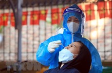 12月29日越南新增新冠肺炎确诊病例数小幅下降