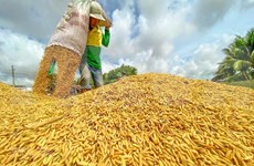 越南农业超额完成全年目标