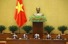 越南第十五届国会特别会议：聚焦四大内容