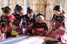 嘉莱族妇女努力保护传统土锦布手工编织业 