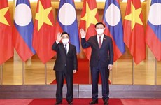 越南国会主席王廷惠会见老挝总理潘坎·维帕万
