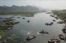 越南承诺保护与可持续利用湿地