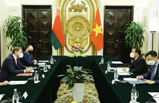 越南与白俄罗斯外交部副部长级政治磋商在河内举行