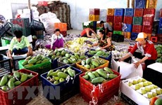 提升农产品质量 多样化出口市场