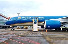 越南多条国内航线航班上座率达到70~90%