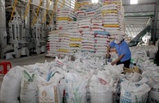 越南政府向9个省份免费发放大米