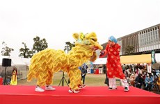 旅居日本福冈越南人协会举行迎新春活动