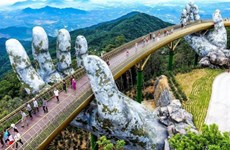 加大合作力度  提振岘港旅游业 