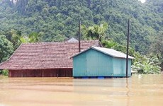 UNDP和WorldShare继续援助越南广平省兴建防台防洪房屋