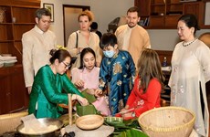 国际友人体验越南南部传统春节