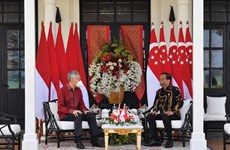 印尼与新加坡讨论共同关心的问题 签署多项合作协议