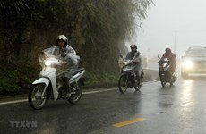   1月28日夜晚起越南北部山区普降大雨