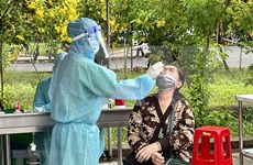 1月28日越南新增确诊病例有所下降 4633例治愈出院