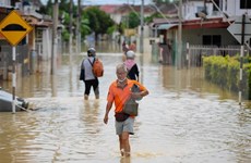 马来西亚最近发生的洪灾造成经济损失达近15亿美元