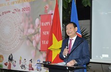 越南驻埃及大使馆举行虎年春节迎春活动
