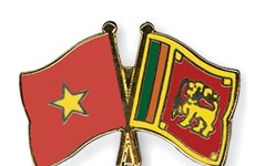 越南党和国家领导人向斯里兰卡领导人致贺电