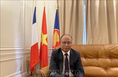老挝驻法大使向越南驻法大使馆干部和人员拜年