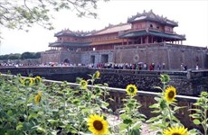 2022年春节假期承天顺化省接待游客量约达4.7万人次
