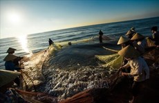 促进越南渔业朝着可持续发展和现代化方向迈进