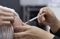 河内市加强针对新冠肺炎疫情感染风险较大人群的新冠疫苗接种工作