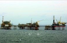 越南国家石油公司 1 月份原油产量以24.2%超额完成目标