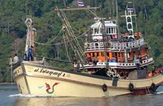 泰国成立特种力量打击非法捕捞活动