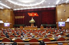越共中央政治局同党和国家以及祖国阵线原领导同志举行新春见面会
