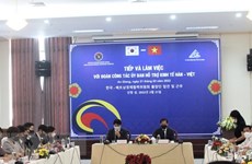 韩国企业寻找在越南安江省的投资商机
