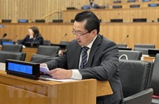 越南重申：《联合国宪章》是国际社会的重要行动指南
