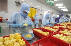 越南蔬果出口企业必须主动扩大出口市场
