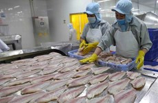 越南力争2022年查鱼出口额超过16亿美元