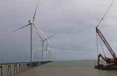 投资总额近3.9万亿越盾的风力发电厂再度落户茶荣省