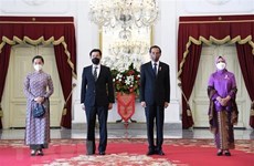 越南驻印度尼西亚新任大使向印尼总统佐科递交国书