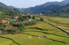 越南2021-2025年新农村建设国家目标计划正式获批
