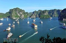 旅游网站 The Travel 高度评价越南下龙湾和古芝地道的壮观景色