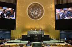 越南承诺推动联合国联合行动计划中各建议