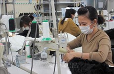  日本企业在新冠肺炎疫情下帮助越南人就业