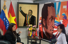 委内瑞拉驻越大使：越南为促进性别平等做出不懈努力