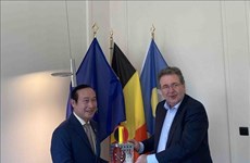 加强越南各地方与比利时布鲁塞尔首都大区的合作