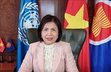 越南驻日内瓦代表团在国际妇女节之际参加性别平等活动