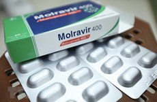 新冠肺炎疫情： 越南国产药物莫努匹韦满足治疗需求