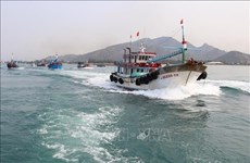 越南茶荣省超过80%远海捕捞渔船已装置航程监视设备