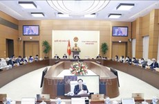 越南国会常务委员会第九次会议：提高来访接待工作和投诉受理工作效率