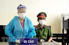安江省人民法院对涉嫌煽动颠覆人民政权罪的黎氏金菲判处有期徒刑6年