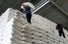 越南政府向三省份免费发放大米和作物种子