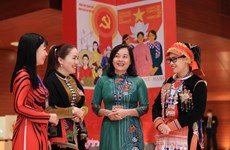 摩洛哥驻越大使：越南是促进性别平等最成功的典范之一 
